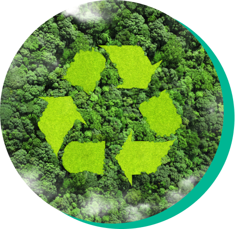 A green recycle symbol overlaid on a green forest, representing the opportunity that companies have to recycle textiles instead of sending them to landfills.